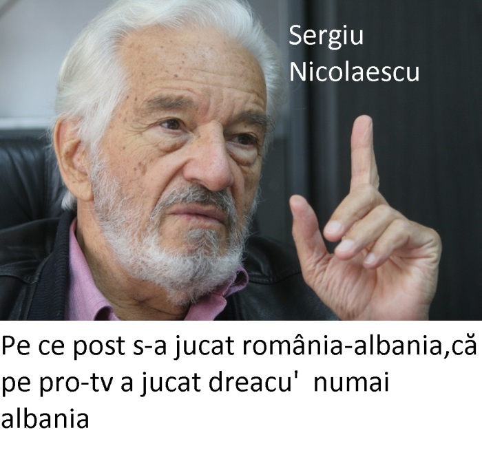 23-sergiu-nicolaescu